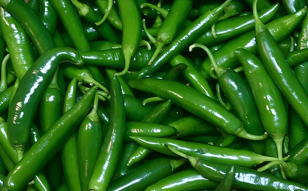 Green Chilli - Fresh from Nashik farms