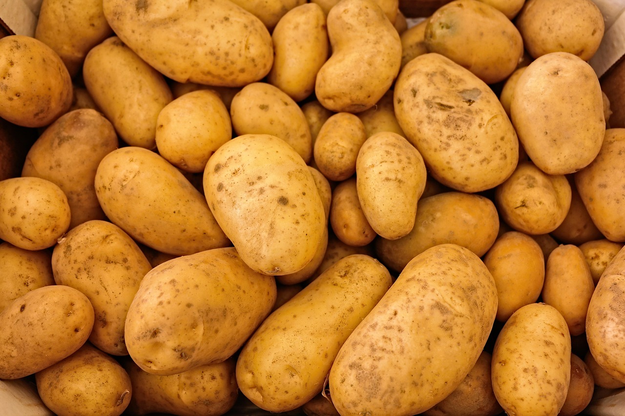 Potato - Fresh from Nashik farms