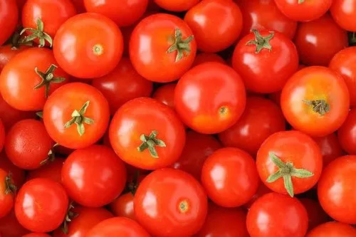 Tomato - Fresh from Nashik farms